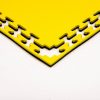 SPORTMAT BASIC 2 CM GEEL/ZWART