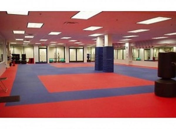 SPORTMAT BASIC 4 CM VOOR JUDO ROOD/BLAUW - Afbeelding 5