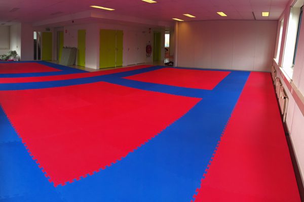 SPORTMAT BASIC 2 CM ROOD/BLAUW - Afbeelding 2