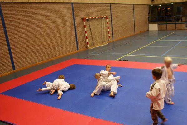 SPORTMAT BASIC 4 CM VOOR JUDO ROOD/BLAUW - Afbeelding 8