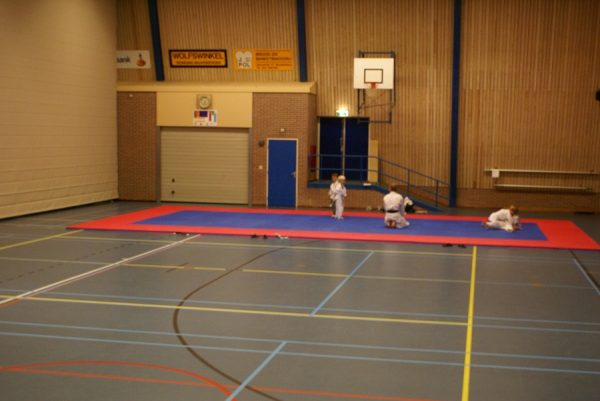 SPORTMAT BASIC 4 CM VOOR JUDO ROOD/BLAUW - Afbeelding 7