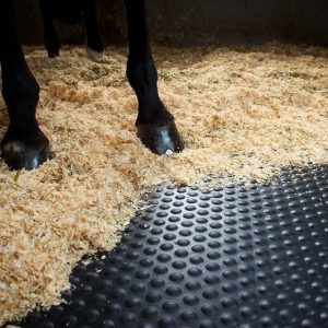 Beg japon Aardewerk Stalmatten: stalmat kopen voor paardenstal of paddock