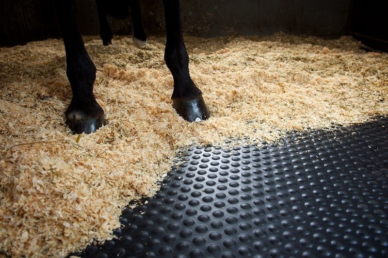 baan Kolonisten plein Stalmatten: stalmat kopen voor paardenstal of paddock